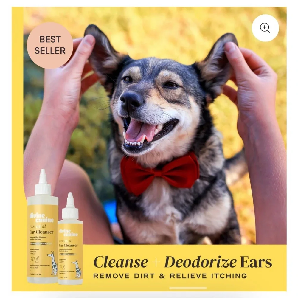 Divine Canine made usa microbial